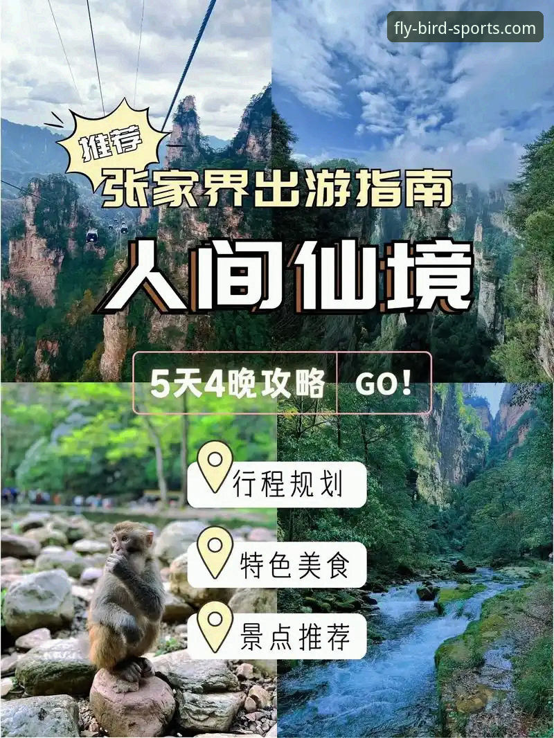 小鸟体育安卓版攻略怎么做？资深用户分享的5个实用技巧