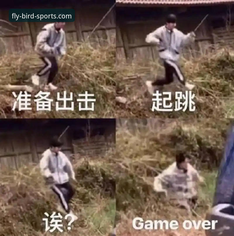 小鸟体育平台注册与下载实用指南：从技术角度解析完整流程