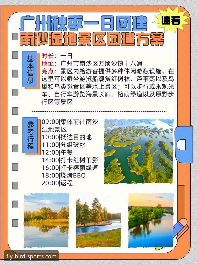 小鸟体育平台注册与下载实用指南：从技术角度解析完整流程