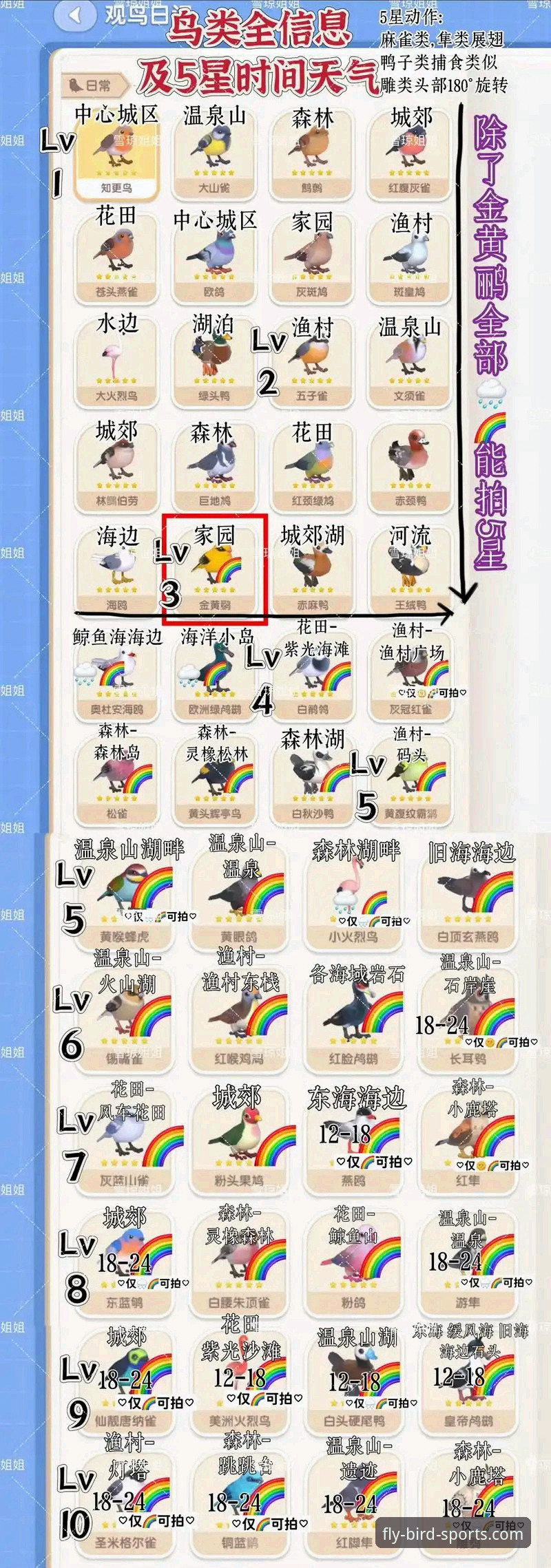 小鸟体育赛事直播必备？资深用户教你如何高效观赛