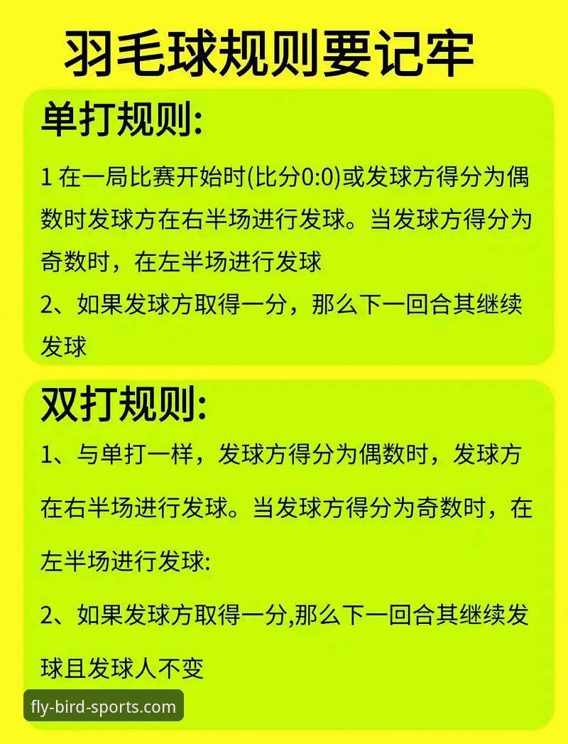 小鸟体育赛事直播使用技巧：资深用户深度解析与实用指南