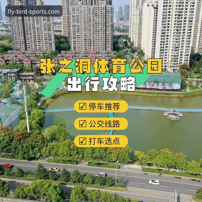 小鸟体育安卓版完整安装使用教程：从下载到直播观赛全攻略