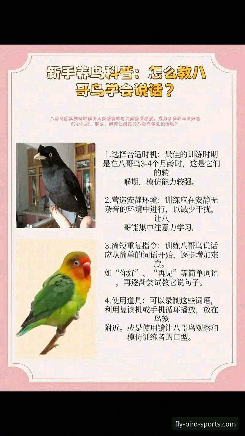 揭秘小鸟体育App：你所不知道的五大核心功能与新手入门指南